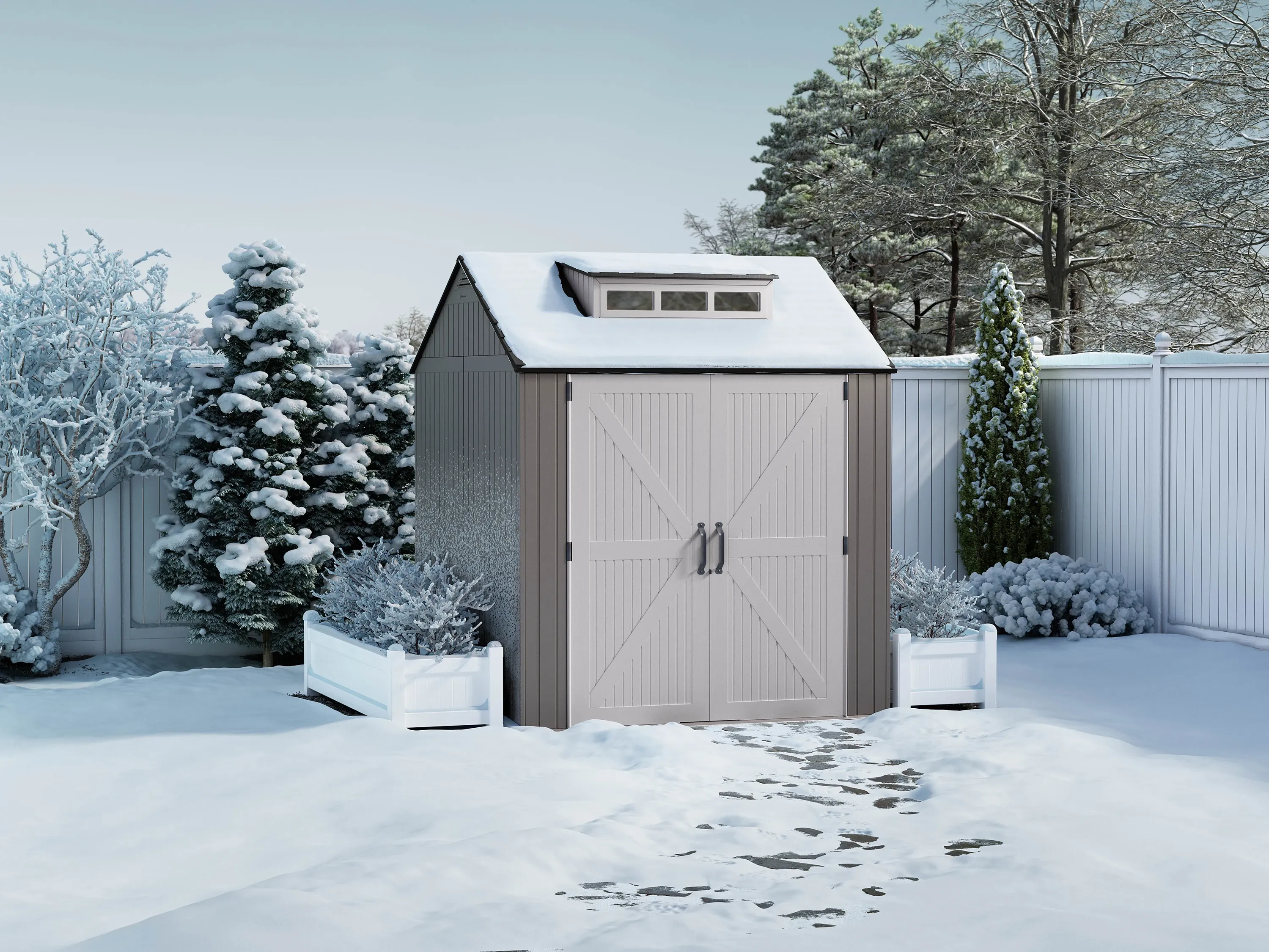 Shed Winter