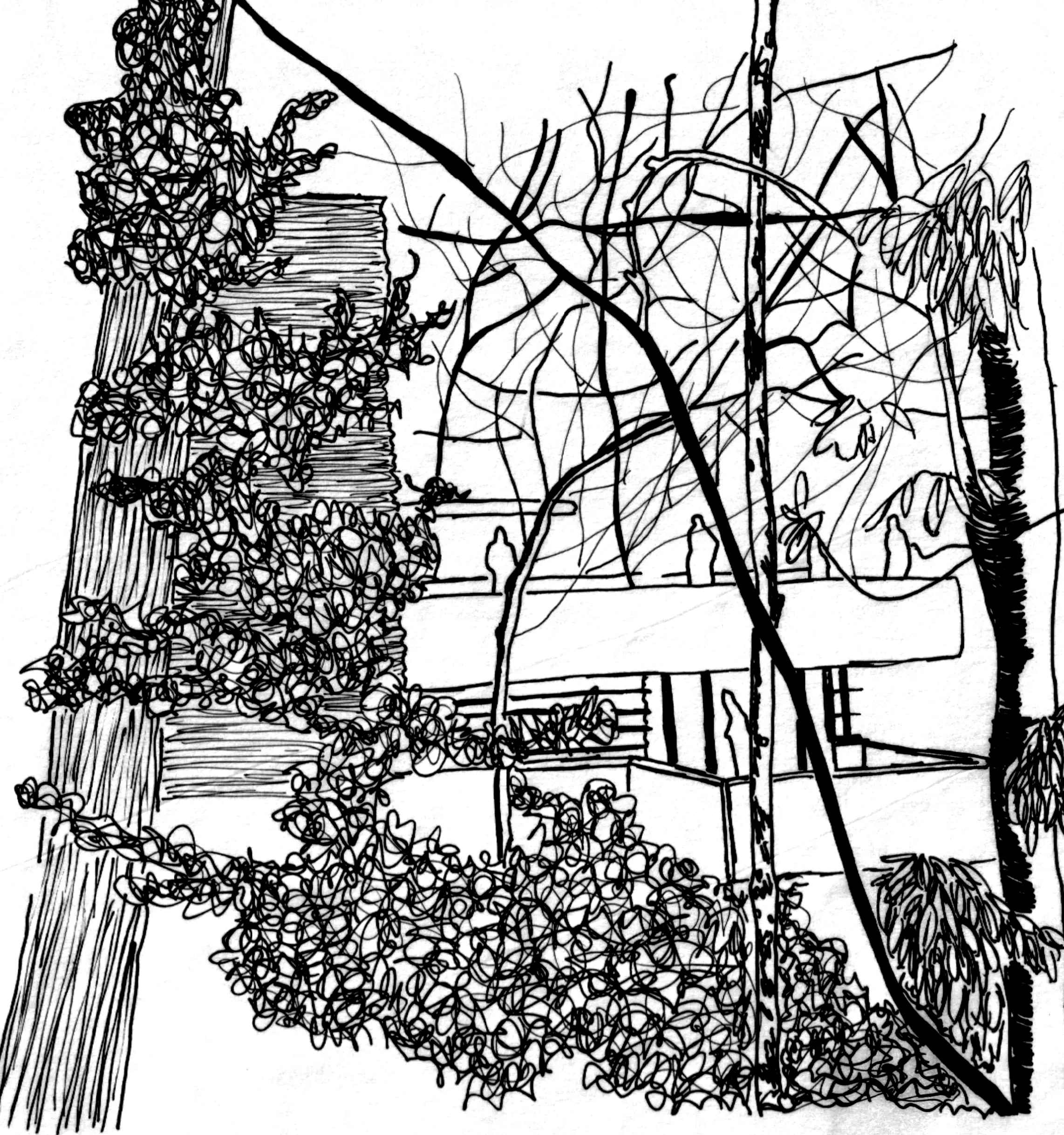 sketch 10